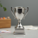Mini Plastic Winner Trophy Cups