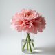 Soft Pink Carnation Floral Cluster