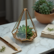 Geometric Glass Succulent Terrarium