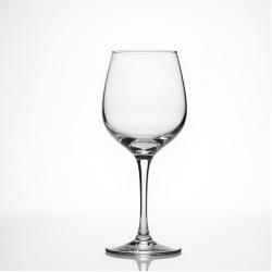 Clear Plastic Stemless Wine Goblets