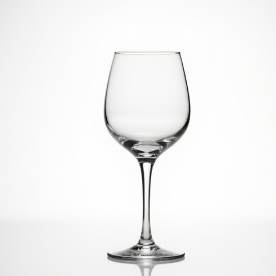 Clear Plastic Stemless Wine Goblets