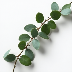 Artificial Eucalyptus Garland Vine Fake Plant