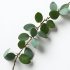 Artificial Eucalyptus Garland Vine Fake Plant
