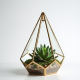 Geometric Glass Succulent Terrarium