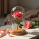 Preserved Eternal Rose Glass Dome