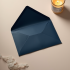 Golden Leaf Celebration Envelope Set