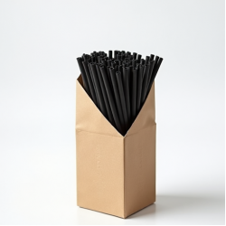 Biodegradable Paper Straws Pack