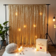 Metallic Tinsel Garland Backdrops