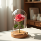 Preserved Eternal Rose Glass Dome