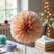 Tissue Paper Pom Poms Decoration Kit