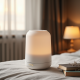 Essential Oil Diffuser and Humidifier