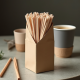 Biodegradable Paper Straws Pack