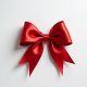 Assorted Gift Bows Pack