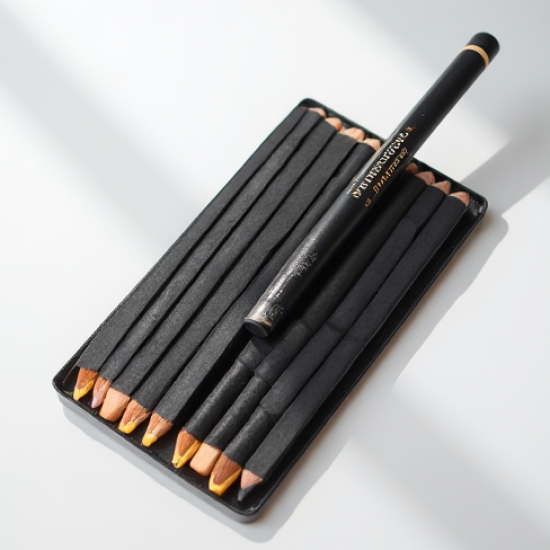 Professional Artist Sketching Pencil Kit