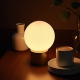 Elegant Orb Table LED Light