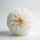 Tissue Paper Pom Poms Decoration Kit