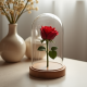 Preserved Eternal Rose Glass Dome