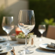 Clear Plastic Stemless Wine Goblets