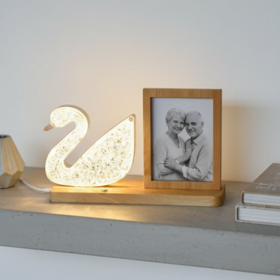 Duck Shape Cystal Led Lamp & Photo Frame Night Lamp | Wedding Gift | love couple