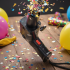 Handheld Metal Gun for Fun Party Celebrations