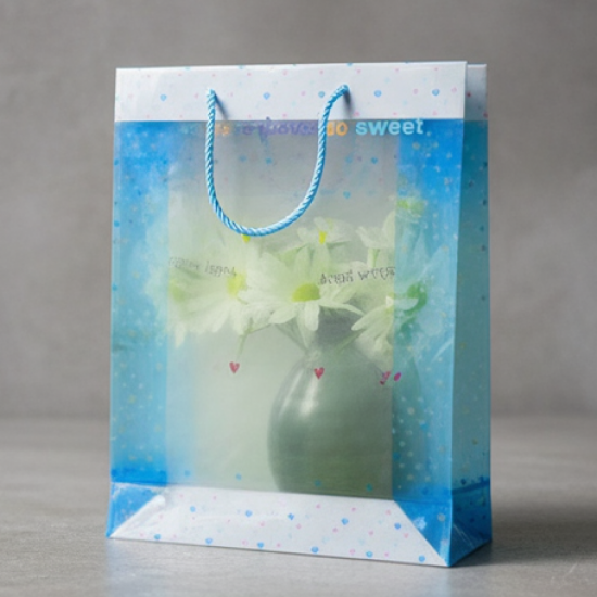 Plastic Transparent Bag With Handle (1 Pc / 34 x 26 Cm)