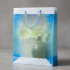 Plastic Transparent Bag With Handle (1 Pc / 34 x 26 Cm)
