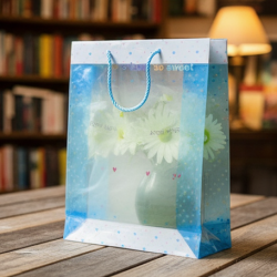 Plastic Transparent Bag With Handle (1 Pc / 34 x 26 Cm)