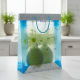 Plastic Transparent Bag With Handle (1 Pc / 34 x 26 Cm)