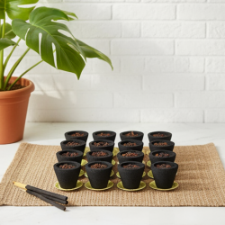 Premium Gugal Sambrani Cup Sambrani Havan Cups (12 Pcs Set)