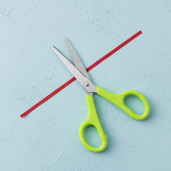 Stainless Steel Double Grip Scissors (1 Pc): Comfort Grip Handle, Multipurpose